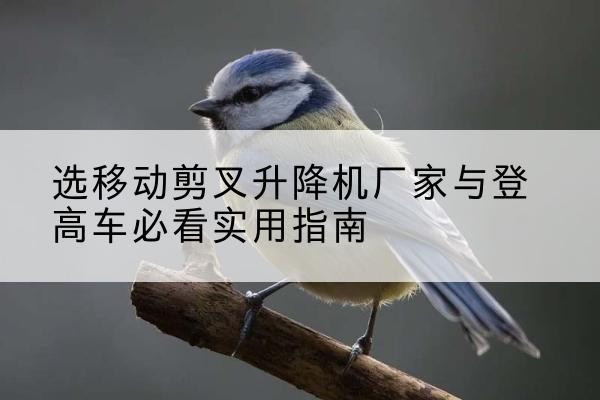 渝北区电动升降机厂家-选移动剪叉升降机厂家与登高车必看实用指南