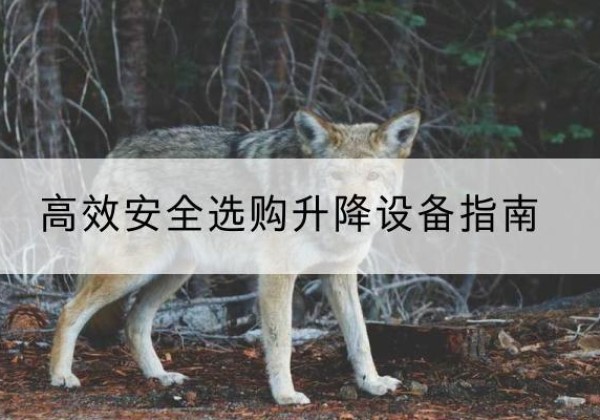 渝北区升降货梯厂家推荐-*安全选购升降设备指南